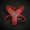 The ''Eros'' harness red Small to Medium Size by Bestia Dog Gear