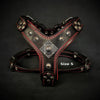 The ''Eros'' harness Black & Red Small to Medium Size by Bestia Dog Gear