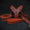 "EROS" BIG dog SET- Harness - collar - lead. Brown & Orange by Bestia Dog Gear