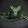 "EROS" BIG dog SET- Harness - collar - lead. Green by Bestia Dog Gear