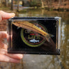 The Crick Chamber Fish Photo Box