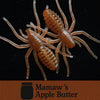 Jar of 1" Micro Spider Bait "The Writing Spider"