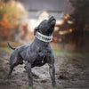 The "Metal" collar White & Gold- personalized! by Bestia Dog Gear