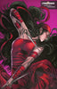 DAREDEVIL: WOMAN WITHOUT FEAR #3 CARNERO STORMBREAKERS VARIANT (03/02/2022) by Unknown Comic Books