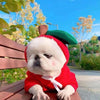 Fruit Dog Clothes Two-legged Hooded Outfits Green Fleece Clothing Autumn Winter Hoodies by My Store