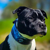 The Darth Force Limited Collar by Bestia Dog Gear