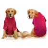 clothes for pets by My Store