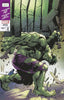 Hulk #2 Unknown Comics Stephen Segovia Exclusive Var (12/15/2021) by Unknown Comic Books