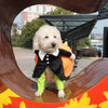 clothes for pets by My Store