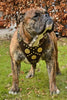 The "Maximus" brown harness by Bestia Dog Gear