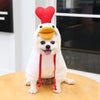 Fruit Dog Clothes Two-legged Hooded Outfits Green Fleece Clothing Autumn Winter Hoodies by My Store