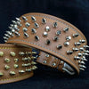 The "Crown" collar by Bestia Dog Gear
