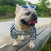 Zip Up Dog Clothing Jacket Stretchy Pet Clothes by My Store