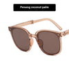 Folding Sunglasses with Case – 13 Colorways Fashion Eyewear by FitiqueFit