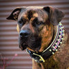 The Candy Dog Collar Black by Bestia Dog Gear