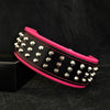 The "Stud" dog collar by Bestia Dog Gear