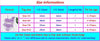 3-16Y Cartoon Two-piece Girls Swimwear Ruffle Swimsuit Bikini Set One Shoulder Beachwear Princess Two Piece Bathing Suit Children Swimwear Girls Swimsuit Bikini Set by Stevvex