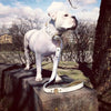 The "Maximus" leash white & gold by Bestia Dog Gear