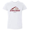 Birmingham Stallions Primary Logo by 500 LEVEL