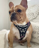 The ''Ariel'' harness Small to Medium Size by Bestia Dog Gear