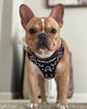 The ''Ariel'' harness Small to Medium Size by Bestia Dog Gear