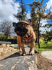 The ''Eros'' harness Black & Orange Small to Medium Size by Bestia Dog Gear