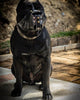''Aztec'' Basket Muzzle Black by Bestia Dog Gear