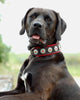 "Bijou" collar black & red by Bestia Dog Gear