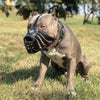 ''Aztec'' Basket Muzzle Black by Bestia Dog Gear