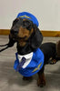 Dachshund Dog Funny Clothes Halloween Suit by My Store