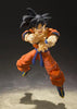 Dragon Ball Z S.H.Figuarts Goku (A Saiyan Raised On Earth) by THE MIGHTY HOBBY SHOP