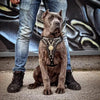 The ''Maximus'' harness V2 Medium Size by Bestia Dog Gear