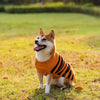 Halloween Dog Sweaters Pet Costume Teddy Warm Leisure Sweater Cosplay Clothes For Dogs Pets Outfits by My Store