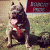 The "Eros" harness RED by Bestia Dog Gear
