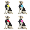 Winter Warm Pet Clothes Waterproof Dog Padded Vest Zipper Jacket Coat For Small Medium Large Dogs Labrador Husky by My Store
