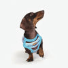 Dog Clothes Cool Clothes Small And Medium Size by My Store