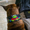 The Grinchmas Limited Collar by Bestia Dog Gear