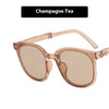 Folding Sunglasses with Case – 13 Colorways Fashion Eyewear by FitiqueFit