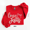 "Love Like Jesus" Faith Sweatshirt by Dog Mom Hat