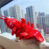 Halloween Cat Lobster Clothes New Year Christmas by My Store