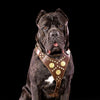 The "Maximus" brown harness by Bestia Dog Gear