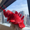 Halloween Cat Lobster Clothes New Year Christmas by My Store