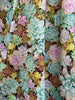 Succulent Vintage Dress - XS only, 1 left! by Retrolicious