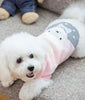 Dog clothes
