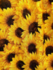 Sunflower Vintage Dress by Retrolicious