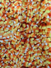 Candy Corn Collared Dress by Retrolicious