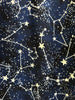 Glow in the Dark Constellations A-line Skirt by Retrolicious