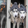 Autumn Winter Warm Knitted Pet Hats With Fluffy Ball by Furr Baby Gifts