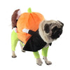 clothes for pets by My Store