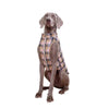 Winter Pet Dog Clothes Heavy Cotton Pet Clothes Jacket Plaid Zipper Down Jacket Pets Supplies by My Store